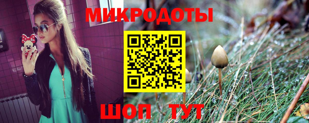 Галлюциногенные грибы Psilocybine cubensis Жигулёвск